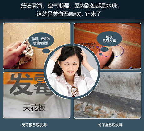 家庭別墅的地下室、衛(wèi)生間、儲(chǔ)物室等該如何除濕？