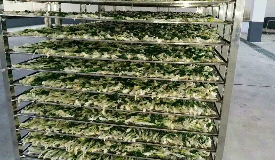 菜干需求一直都很大，蔬菜烘干機(jī)很有市場(chǎng)