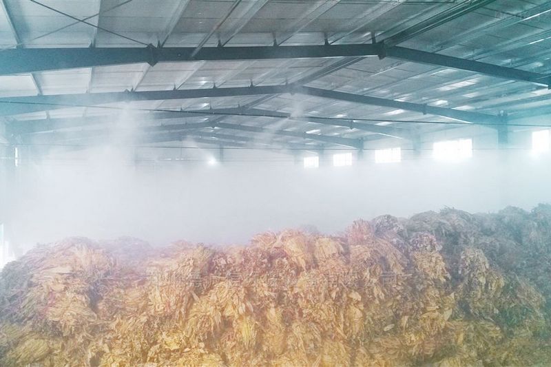 提升煙葉加工質(zhì)量，高效回潮很重要