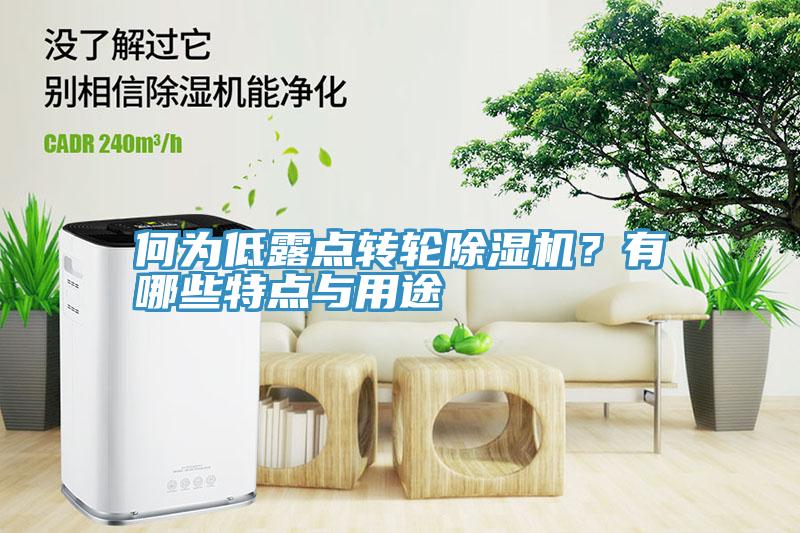 何為低露點(diǎn)轉(zhuǎn)輪除濕機(jī)？有哪些特點(diǎn)與用途