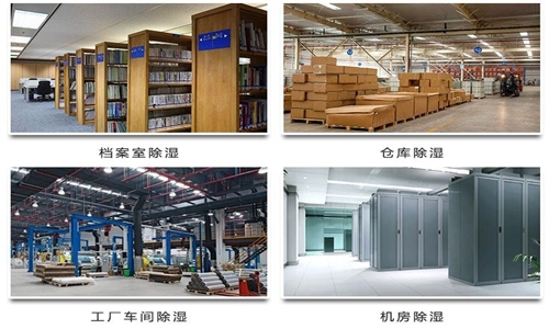 為什么竹筍烘干房需要除濕機(jī)？