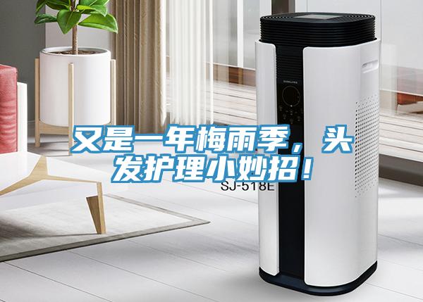 又是一年梅雨季，頭發(fā)護(hù)理小妙招！