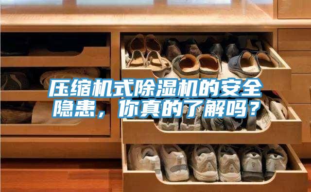 壓縮機式除濕機的安全隱患，你真的了解嗎？