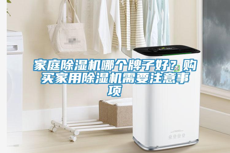 家庭除濕機哪個牌子好？購買家用除濕機需要注意事項