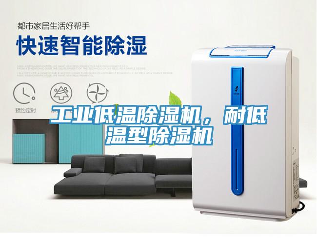 工業(yè)低溫除濕機(jī)，耐低溫型除濕機(jī)