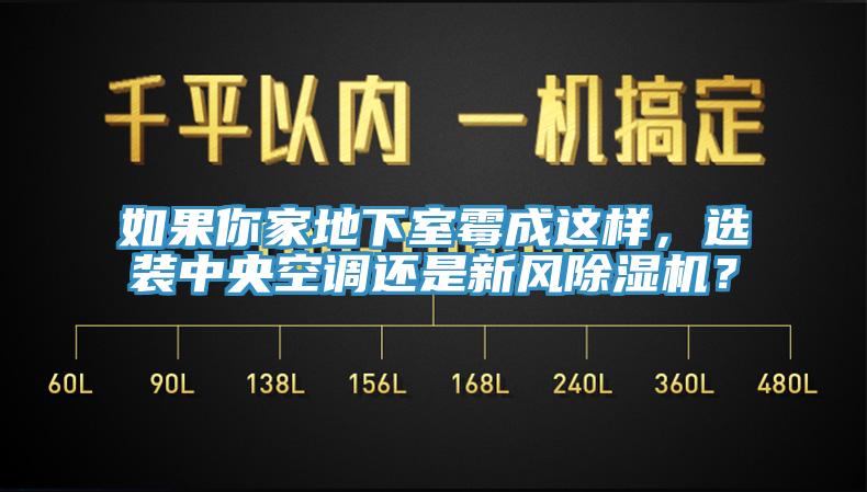如果你家地下室霉成這樣，選裝中央空調(diào)還是新風(fēng)除濕機(jī)？