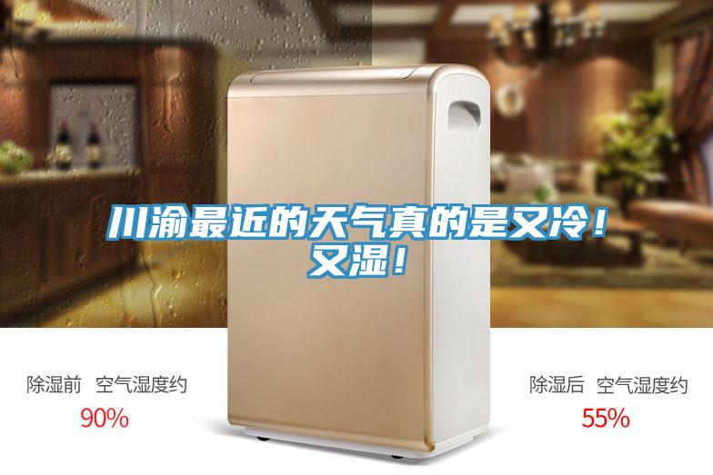川渝最近的天氣真的是又冷！又濕！