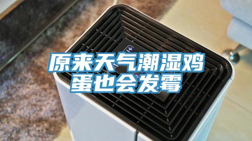 原來(lái)天氣潮濕雞蛋也會(huì)發(fā)霉