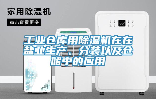 工業(yè)倉庫用除濕機(jī)在在鹽業(yè)生產(chǎn)、分裝以及倉儲中的應(yīng)用