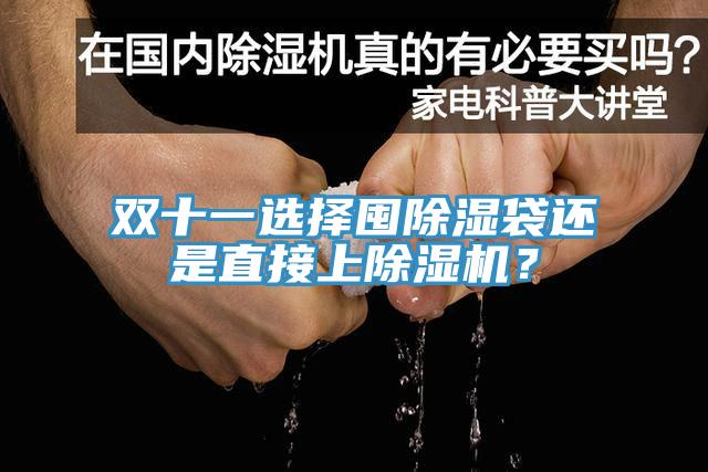 雙十一選擇囤除濕袋還是直接上除濕機？