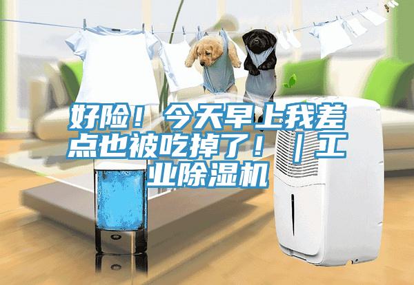 好險(xiǎn)！今天早上我差點(diǎn)也被吃掉了?。I(yè)除濕機(jī)