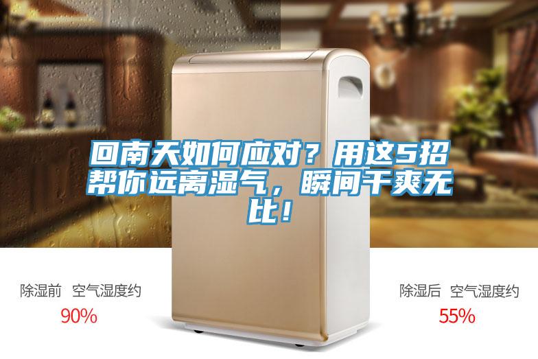 回南天如何應(yīng)對(duì)？用這5招幫你遠(yuǎn)離濕氣，瞬間干爽無(wú)比！