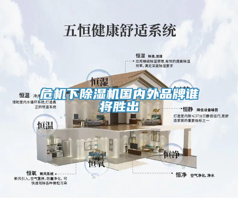 危機(jī)下除濕機(jī)國內(nèi)外品牌誰將勝出