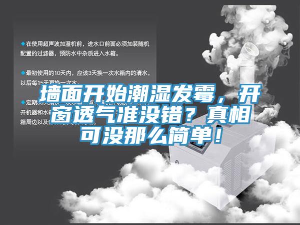墻面開始潮濕發(fā)霉，開窗透氣準沒錯？真相可沒那么簡單！