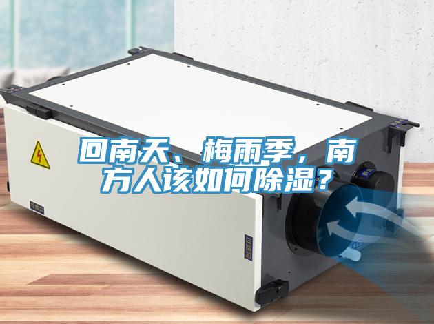 回南天、梅雨季，南方人該如何除濕？
