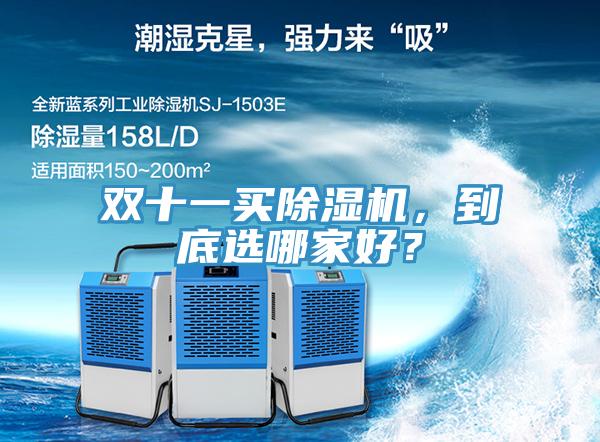 雙十一買除濕機，到底選哪家好？