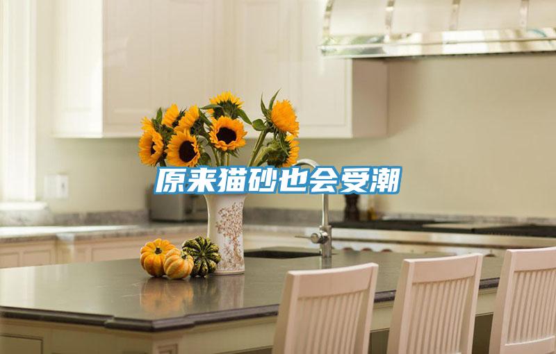 原來(lái)貓砂也會(huì)受潮