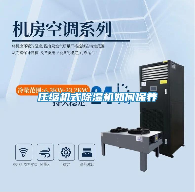 壓縮機式除濕機如何保養(yǎng)