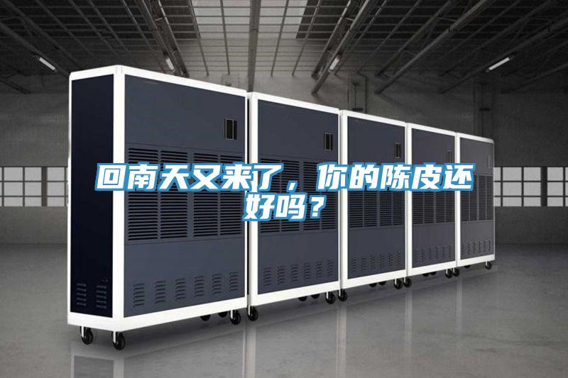 回南天又來(lái)了，你的陳皮還好嗎？