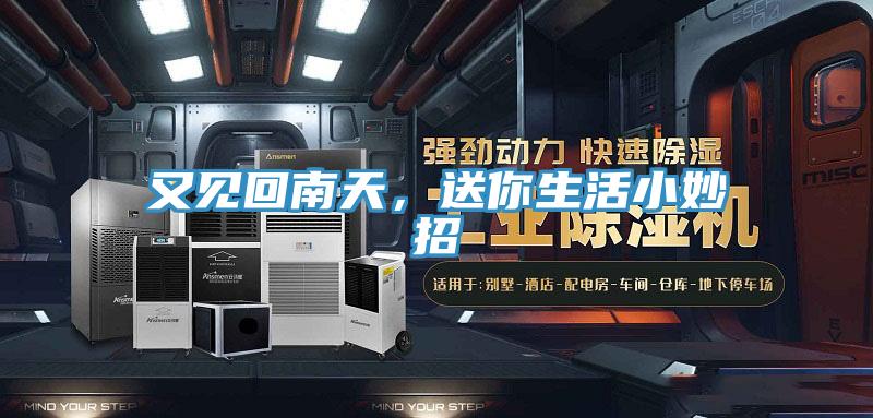 又見回南天，送你生活小妙招