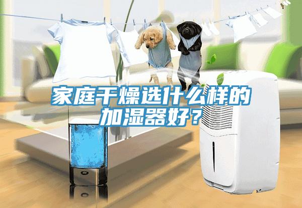 家庭干燥選什么樣的加濕器好？