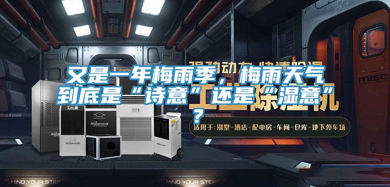 又是一年梅雨季，梅雨天氣到底是“詩意”還是“濕意”？