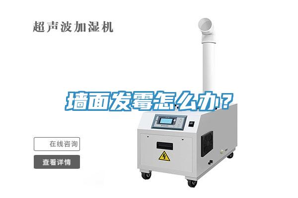 墻面發(fā)霉怎么辦？