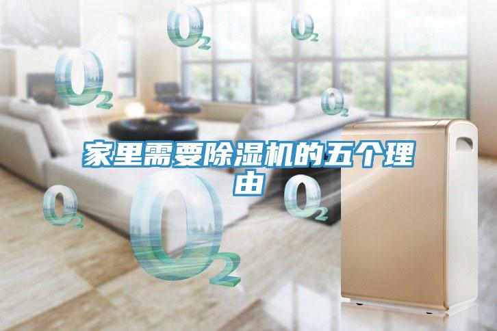 家里需要除濕機(jī)的五個(gè)理由