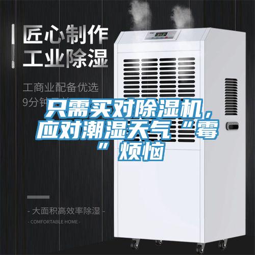 只需買對(duì)除濕機(jī)，應(yīng)對(duì)潮濕天氣“霉”煩惱