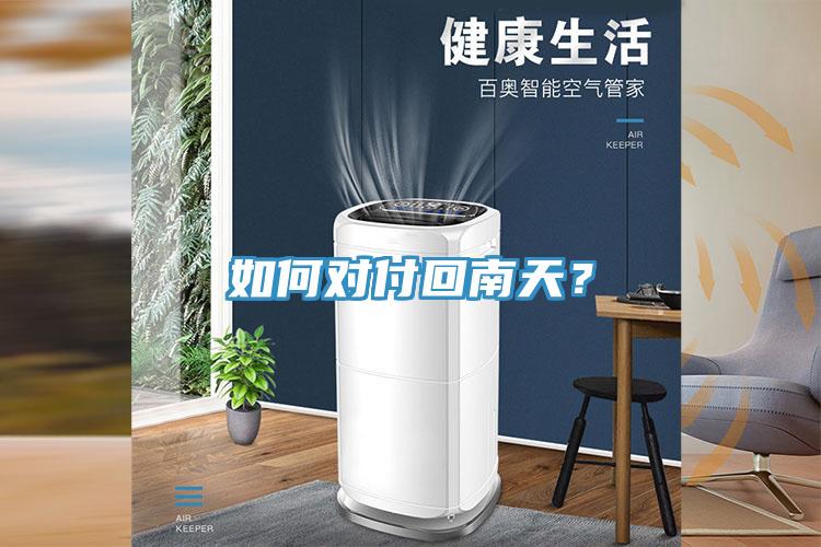 如何對付回南天？