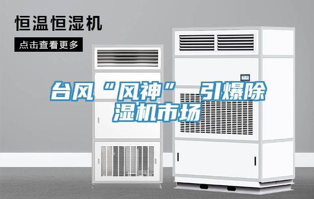 臺風(fēng)“風(fēng)神” 引爆除濕機(jī)市場