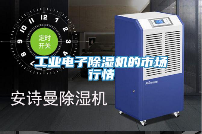 工業(yè)電子除濕機(jī)的市場(chǎng)行情