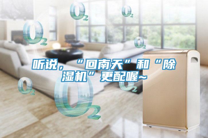 聽說，“回南天”和“除濕機”更配喔~