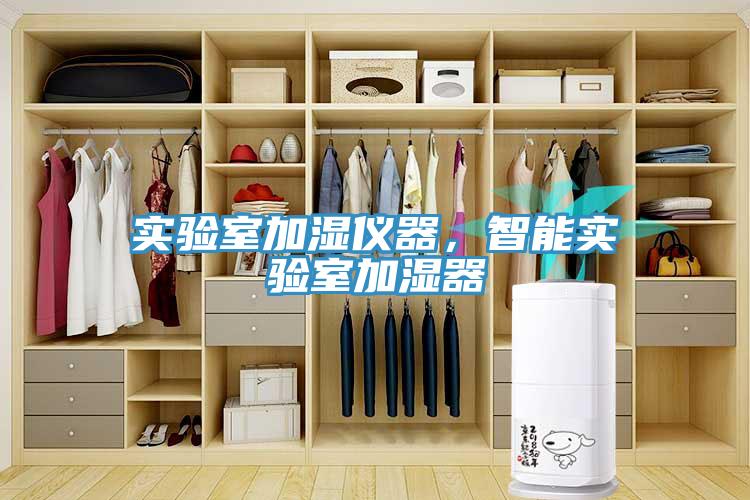 實(shí)驗(yàn)室加濕儀器，智能實(shí)驗(yàn)室加濕器