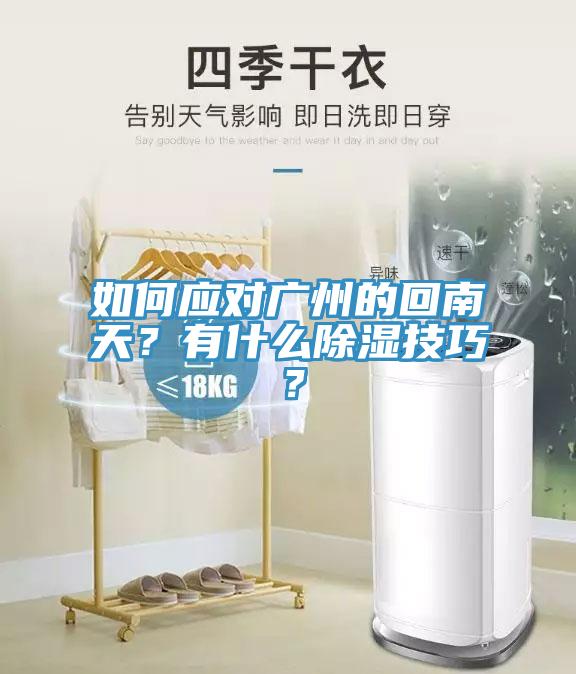如何應(yīng)對(duì)廣州的回南天？有什么除濕技巧？