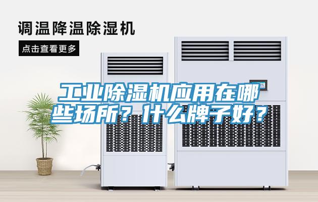 工業(yè)除濕機(jī)應(yīng)用在哪些場所？什么牌子好？