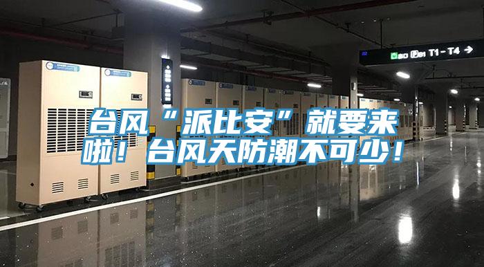 臺風(fēng)“派比安”就要來啦！臺風(fēng)天防潮不可少！