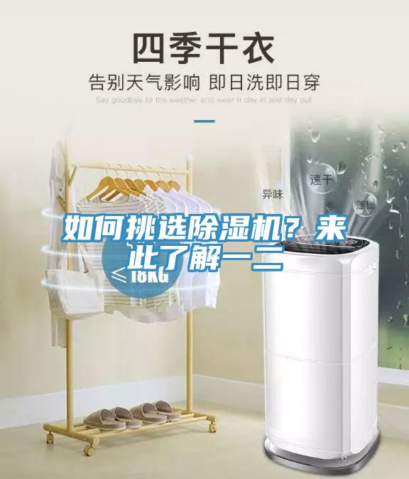 如何挑選除濕機？來此了解一二