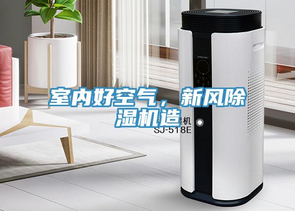 室內(nèi)好空氣，新風(fēng)除濕機(jī)造