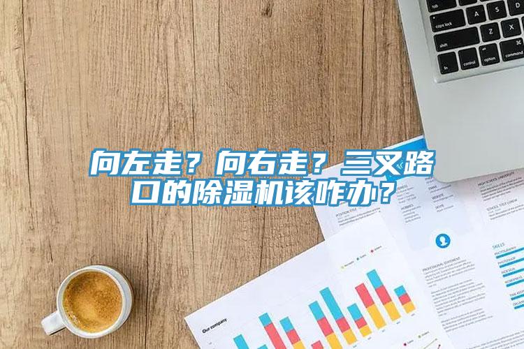 向左走？向右走？三叉路口的除濕機該咋辦？
