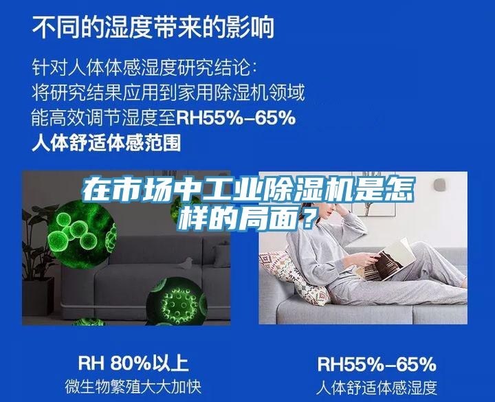 在市場中工業(yè)除濕機是怎樣的局面？