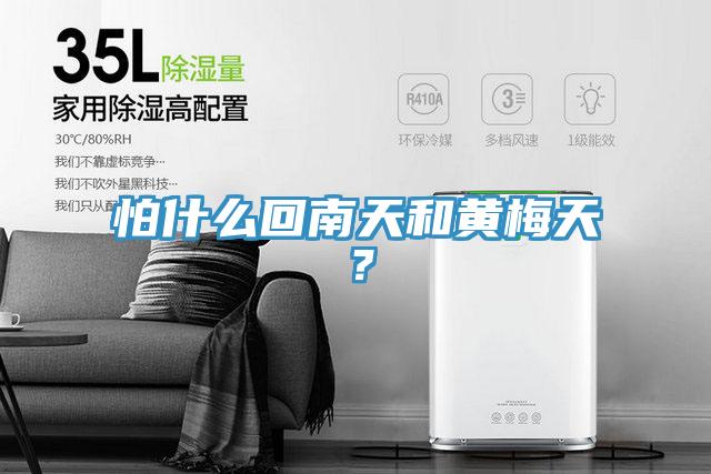 怕什么回南天和黃梅天？