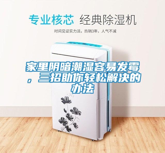 家里陰暗潮濕容易發(fā)霉，三招助你輕松解決的辦法