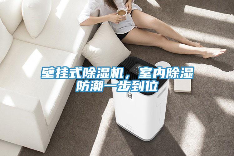 壁掛式除濕機(jī)，室內(nèi)除濕防潮一步到位