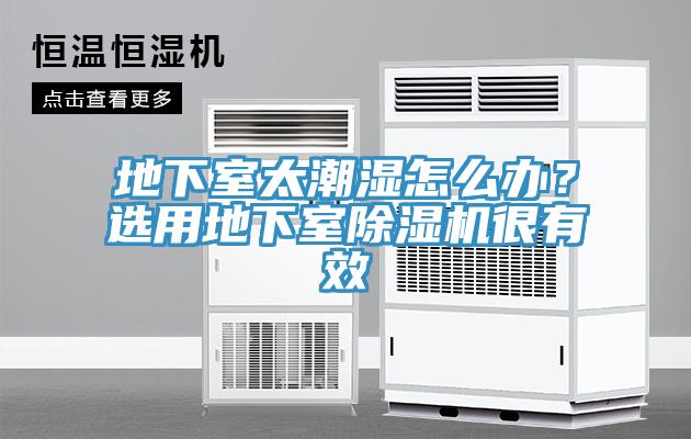 地下室太潮濕怎么辦？選用地下室除濕機很有效