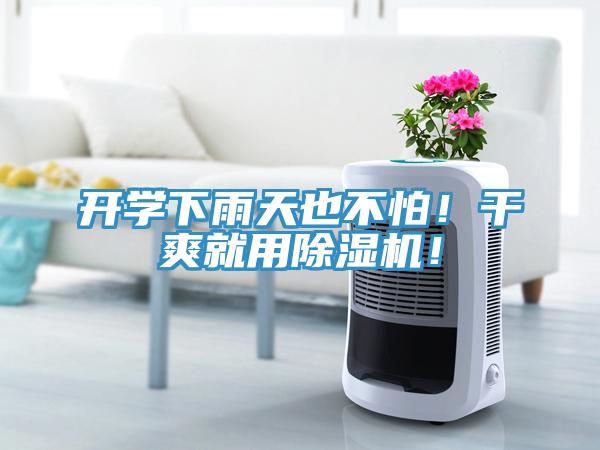 開學(xué)下雨天也不怕！干爽就用除濕機(jī)！