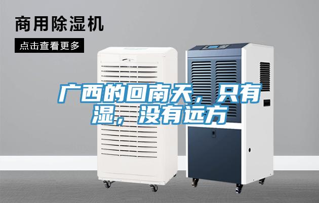 廣西的回南天，只有濕，沒有遠方