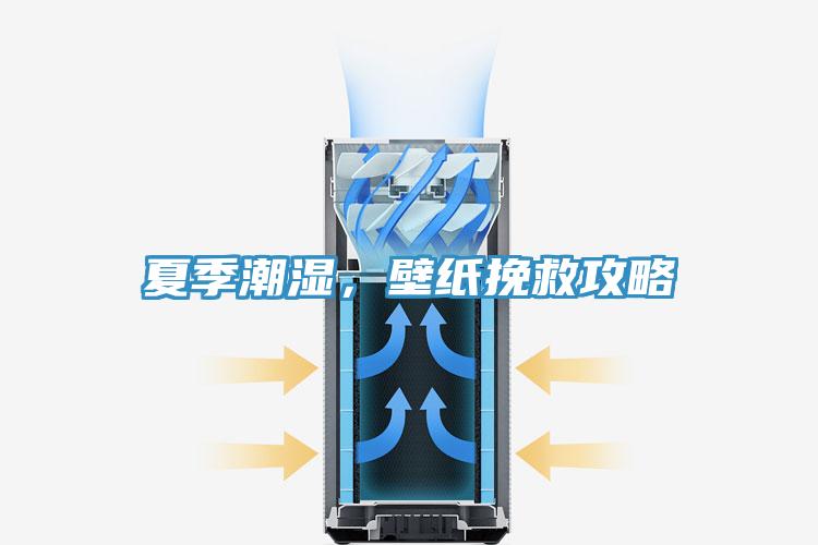 夏季潮濕，壁紙挽救攻略