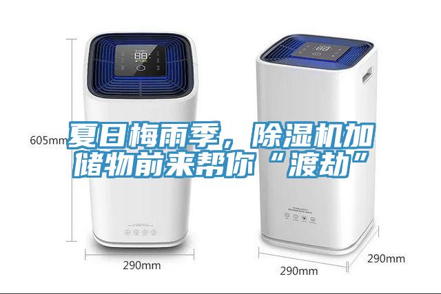 夏日梅雨季，除濕機加儲物前來幫你“渡劫”