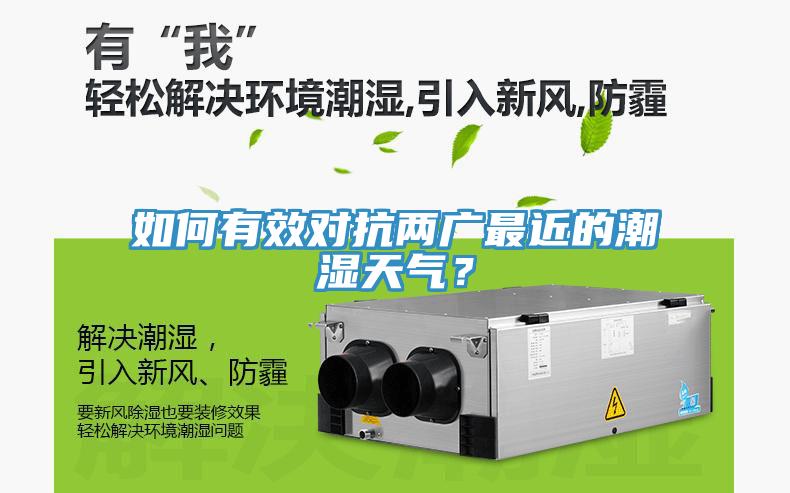 如何有效對(duì)抗兩廣最近的潮濕天氣？